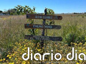 MÉS per Marratxí alerta que la ampliación de Son Bonet incrementará la actividad aérea cerca de una zona residencial