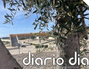 MotorLand Aragón refuerza sus zonas verdes con una nueva fase de revegetación en accesos y zonas interiores