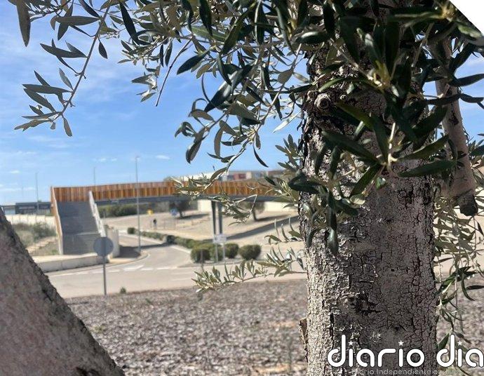MotorLand Aragón refuerza sus zonas verdes con una nueva fase de revegetación en accesos y zonas interiores