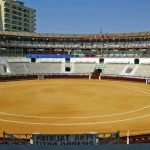 Muere por una fuerte cogida de un toro un trabajador de corrales de la plaza de La Malagueta de Málaga