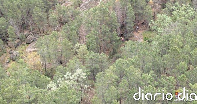 Muere un ciclista tras una caída en Arenas de San Pedro (Ávila)