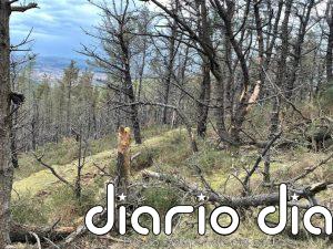 Muere un hombre de 79 años al caer por una ladera del monte Dobra