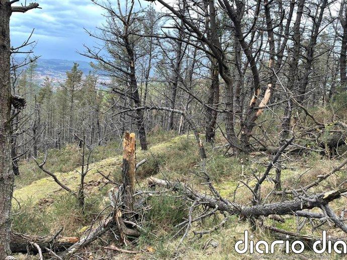 Muere un hombre de 79 años al caer por una ladera del monte Dobra