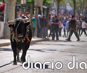 Muere un participante tras ser corneado en el desencajonamiento de los "toros ensogaos" en Beas de Segura (Jaén)