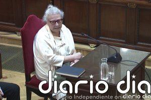 Pano mantiene que dio 90.000 euros al PSOE por Aldama y que Ábalos "quería una casa" por la licencia de Villafuel