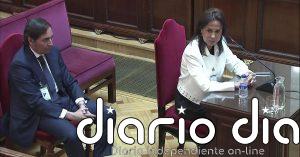 Pardo de Vera se desvincula de cualquier irregularidad en la adjudicación del contrato de mascarillas