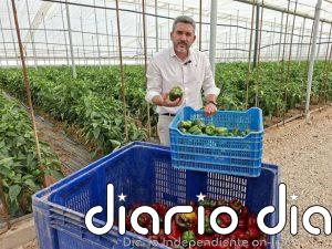 PP demanda al Gobierno central medidas "urgentes" ante el "sobrecoste inasumible" que sufre el campo de la Región