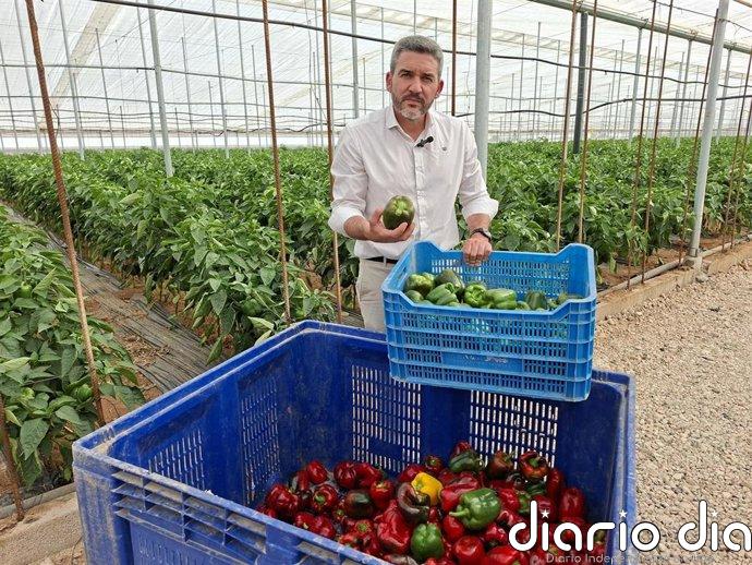 PP demanda al Gobierno central medidas "urgentes" ante el "sobrecoste inasumible" que sufre el campo de la Región