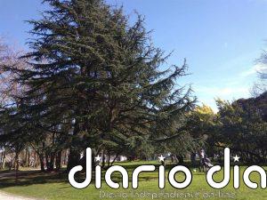 Previsión meteorológica en Extremadura para este domingo, 5 de abril de 2026