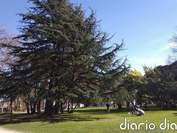 Previsión meteorológica en Extremadura para este domingo, 5 de abril de 2026