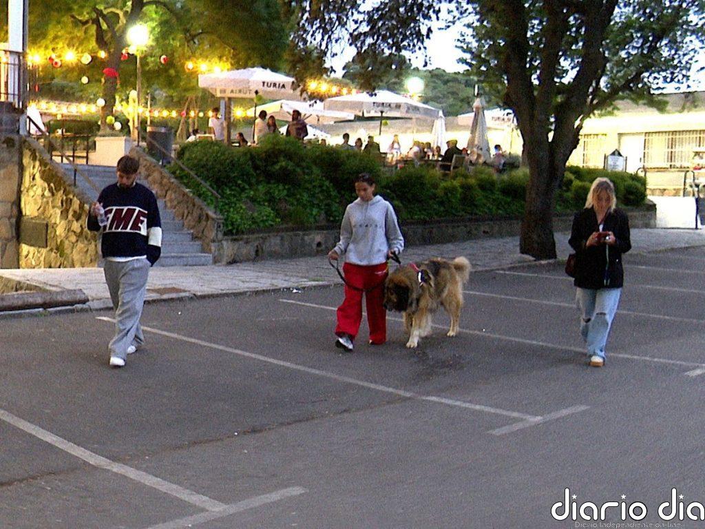 Primeras imágenes de Rocío Flores y Gloria Camila reconciliadas, con Álvaro García como testigo