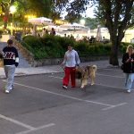 Primeras imágenes de Rocío Flores y Gloria Camila reconciliadas, con Álvaro García como testigo