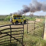 Red Eléctrica y Seprona celebran una jornada sobre la protección de las aves y los incendios forestales en Mallorca