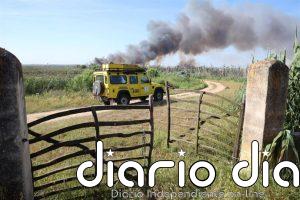 Red Eléctrica y Seprona celebran una jornada sobre la protección de las aves y los incendios forestales en Mallorca