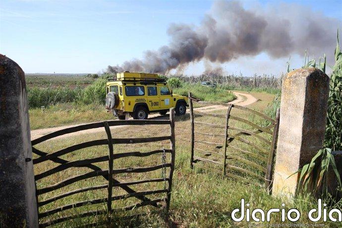 Red Eléctrica y Seprona celebran una jornada sobre la protección de las aves y los incendios forestales en Mallorca