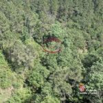 Rescatan a un parapentista herido al impactar con un árbol en Arenas de San Pedro (Ávila)