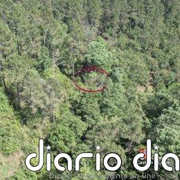 Rescatan a un parapentista herido al impactar con un árbol en Arenas de San Pedro (Ávila)