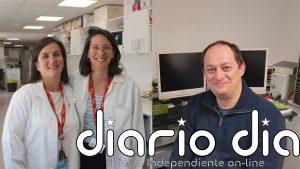 Revelan que un antioxidante para una enfermedad minoritaria puede servir para las piedras del riñón