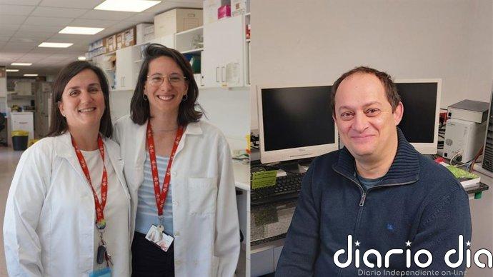 Revelan que un antioxidante para una enfermedad minoritaria puede servir para las piedras del riñón