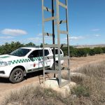 Revisan más de 1.000 apoyos eléctricos en los últimos cinco años para proteger la fauna silvestre de la Región