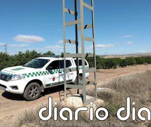 Revisan más de 1.000 apoyos eléctricos en los últimos cinco años para proteger la fauna silvestre de la Región