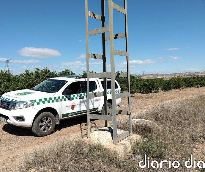 Revisan más de 1.000 apoyos eléctricos en los últimos cinco años para proteger la fauna silvestre de la Región