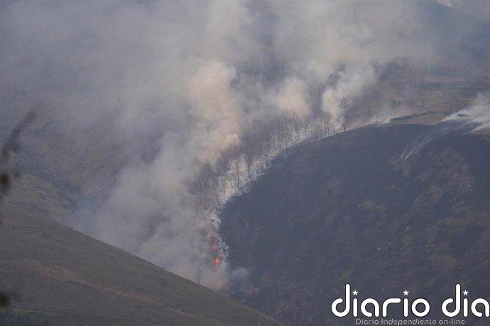Se elevan a cinco los incendios forestales activos en Cantabria