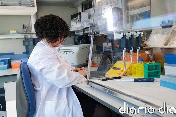 Sociedades científicas dicen que la burocracía "lastra" a los investigadores que destinan el 40% de su tiempo a papeleo