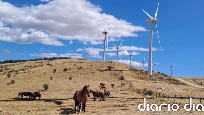 Solarig supera 1 GW en operación y mantenimiento de parques eólicos y amplia actividades a Latinoamérica