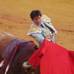 Tana Rivera presencia la tremenda cogida de Roca Rey en La Maestranza