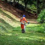 Transición Ecológica impulsa la formación en empleos verdes con 12,6 millones de euros para 42 proyectos