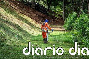 Transición Ecológica impulsa la formación en empleos verdes con 12,6 millones de euros para 42 proyectos