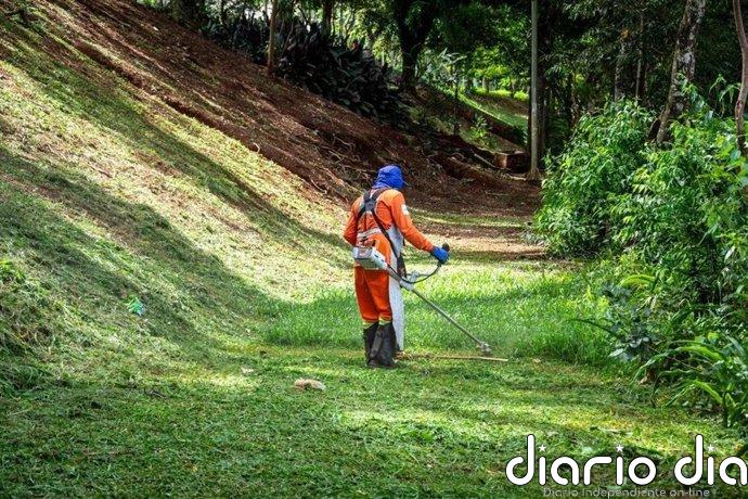 Transición Ecológica impulsa la formación en empleos verdes con 12,6 millones de euros para 42 proyectos