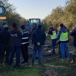 Tres detenidos acusados de explotación laboral en una finca de Almodóvar del Río (Córdoba)