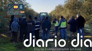 Tres detenidos acusados de explotación laboral en una finca de Almodóvar del Río (Córdoba)