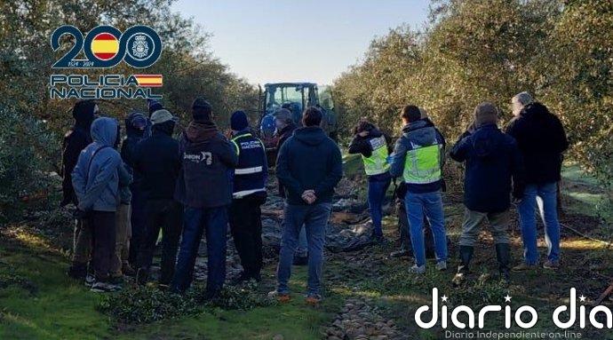 Tres detenidos acusados de explotación laboral en una finca de Almodóvar del Río (Córdoba)
