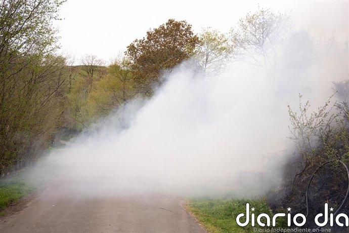 Última hora: Se elevan a cuatro los incendios forestales activos en Asturias