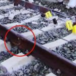 Último informe del accidente de Adamuz: la rotura de la vía se produjo 22 horas antes, pero no saltó la alerta en Adif