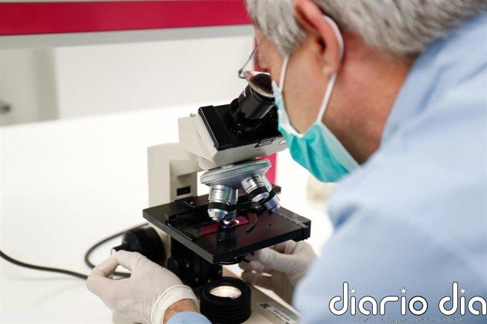Un análisis a gran escala revela innovaciones "revolucionarias" en la historia de la investigación