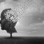 Un análisis de 17 ensayos concluye que los fármacos contra el Alzheimer basados en beta-amiloide no mejoran la cognición