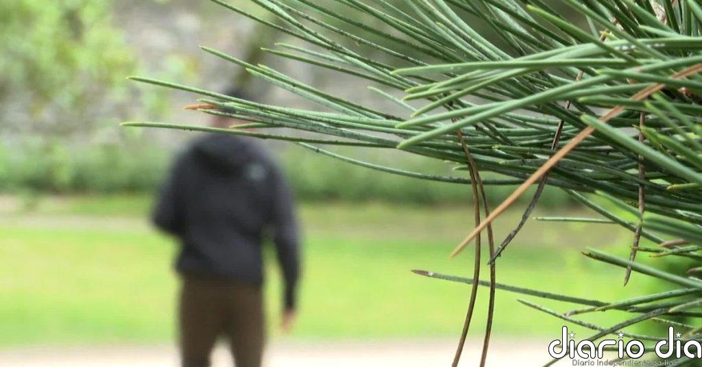 Un asentamiento de infraviviendas en uno de los mejores barrios de Madrid
