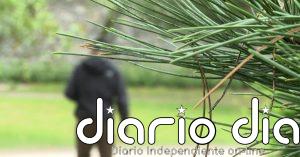 Un asentamiento de infraviviendas en uno de los mejores barrios de Madrid