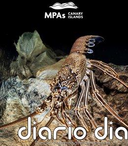 Un estudio advierte que solo el 11% de las áreas marinas protegidas en Canarias cuenta con una gestión activa