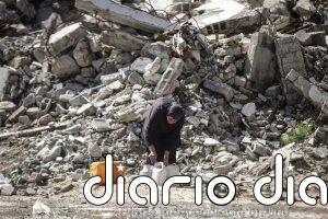 Una delegación de Hamás se reúne con el director de la Junta de Paz para implementar alto el fuego en Gaza