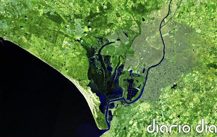 Una imagen satelital muestra amplias zonas de Doñana inundadas y cubiertas por un "inmenso" manto verde