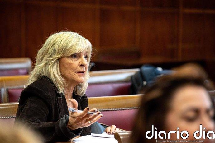 UPN erige al Senado como "contrapeso" del Gobierno y augura que la 'comisión Koldo' durará hasta verano de 2027