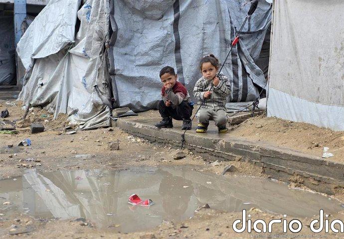 Varias ONG denuncian que el plan de paz de Trump para la Franja de Gaza "está fracasando"