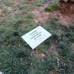 Vecinos de Albal exigen la investigación de un acto de vandalismo contra el monolito a las víctimas de la dana