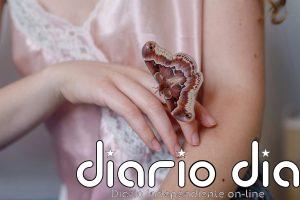 Vinagre, clavo o lavanda: soluciones naturales y caseras que evitan las polillas de los armarios