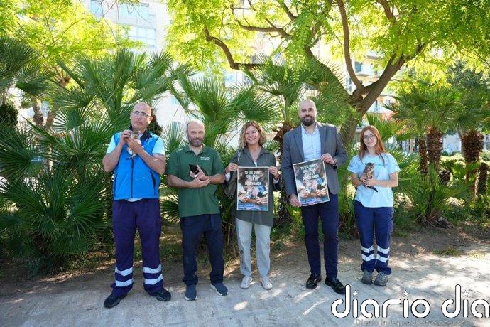 Acoge gatitos huérfanos en Palma: Son Reus lanza campaña de ayuda